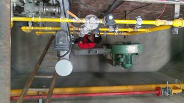 Garanzia 3 anni del bagno di zinco di sistema di riscaldamento automatico elettrico/riscaldamento vapore/del petrolio