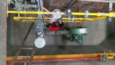 Sistemi di riscaldamento automatici dell'alto di efficienza termica bagno di zinco del CE con 100% carri armati fatti a mano